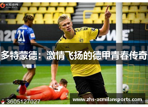 多特蒙德：激情飞扬的德甲青春传奇